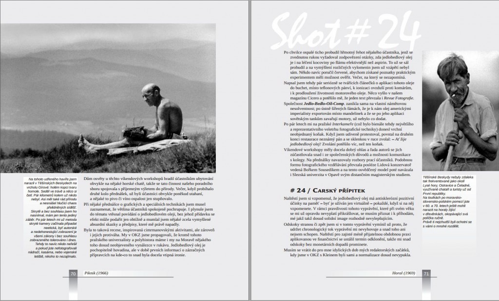 Piknik, Horal, V hledáčku kamery – mezi řádky textu