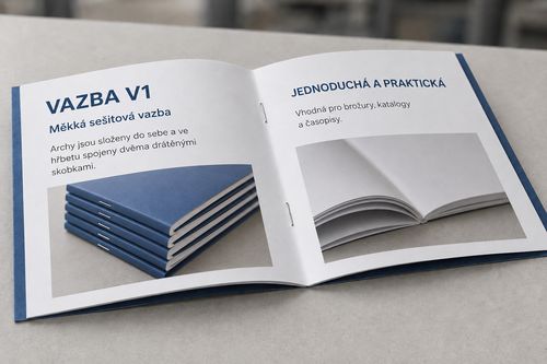 V1 vazba